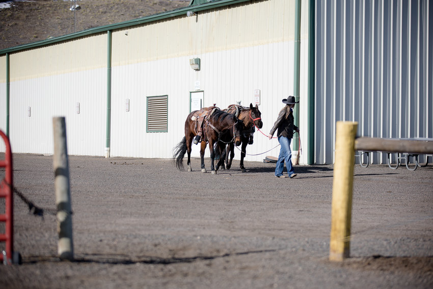 Horses are led to the event center for the Winter Rodeo at the Jefferson County Fairgrounds.